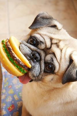 Read Online Pug Dog Wants a Real Burger Instead of a Toy Hamburger Journal: 150 Page Lined Notebook/Diary -  | ePub
