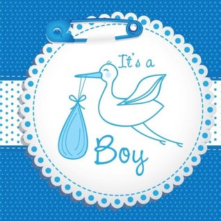 Read Online It's a Boy: Baby Book Keepsake and Scrapbook for Baby's First Year - Debbie Miller file in PDF