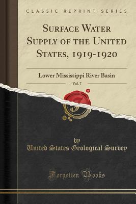 Download Surface Water Supply of the United States, 1919-1920, Vol. 7: Lower Mississippi River Basin (Classic Reprint) - U.S. Geological Survey | PDF