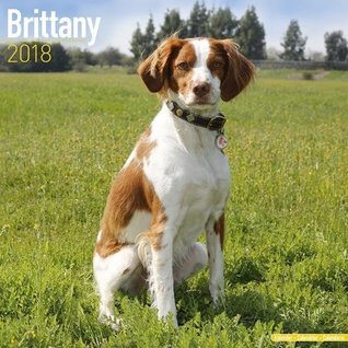 Read Brittany Calendar - Dog Breed Calendars - 2017 - 2018 wall Calendars - 16 Month by Avonside -  | PDF