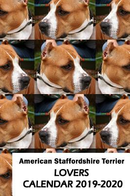 Read Online American Staffordshire Terrier Lovers Calendar 2019-2020 - Mega Media Depot file in PDF