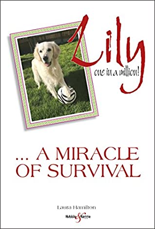 Read Lily: one in a million:  a miracle of survival - Laura Hamilton file in ePub